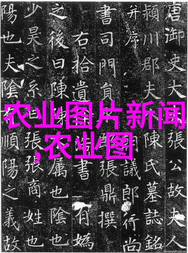 中药材发展前景分析我眼中的中国医药大展拳脚从传统走向现代化的奇迹之旅