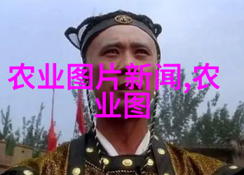红薯叶的生理学研究解析其营养成分与食用价值