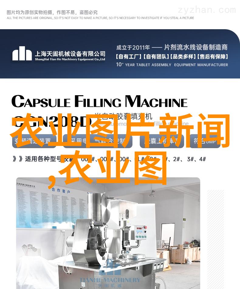 马齿苋在传统中医中的应用历史又是怎样的