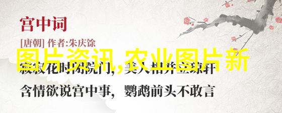 家庭花卉盆栽 - 绿意盎然的家园如何选择适合家庭的盆栽植物