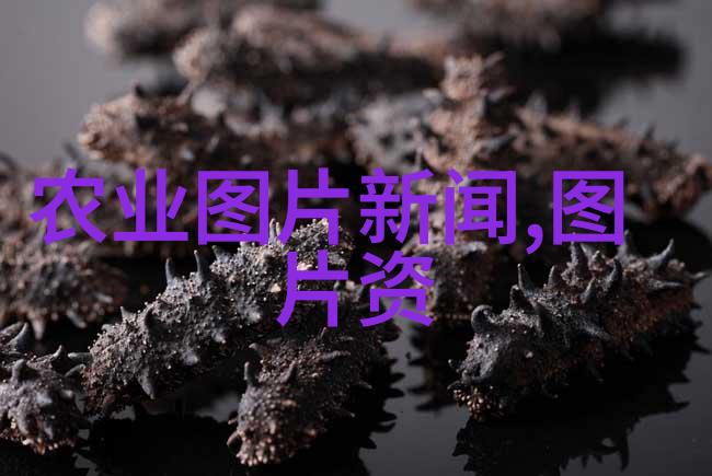 妖仙魅世穿越之旅与神秘力量的探索