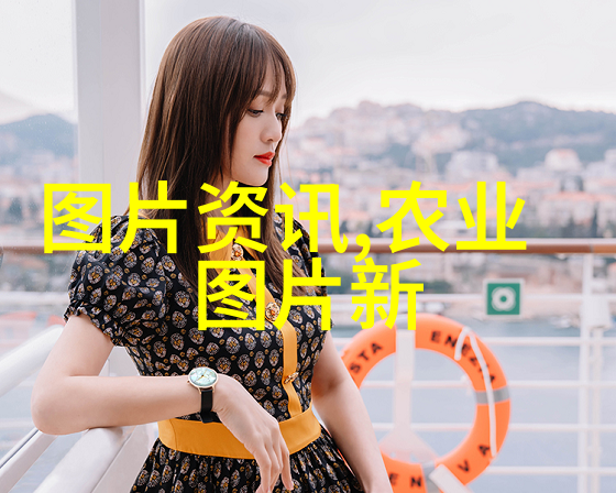园艺学中的盆栽花卉选择与养护指南
