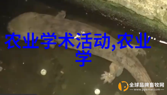 人工手动插秧机我是怎么把一整天的活干完了