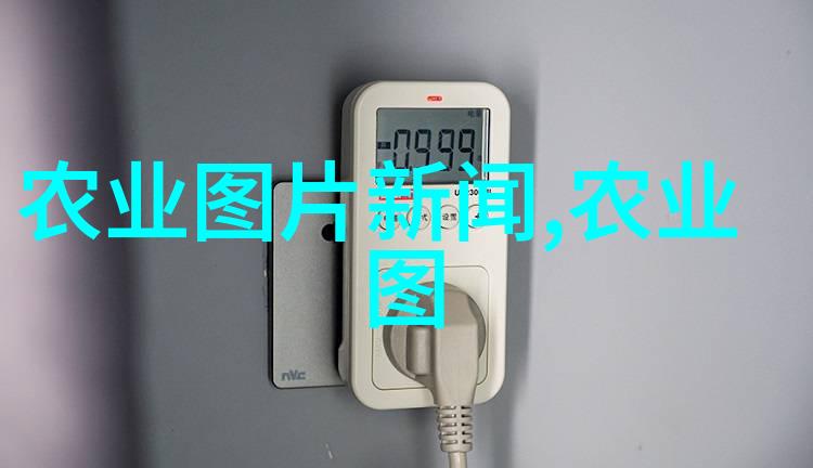 英语课代表让我桶她的BB关于一个学生被选为英语课代表后面临的尴尬和挑战