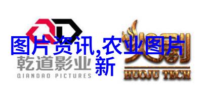 从零到英雄一亩大棚的逆袭