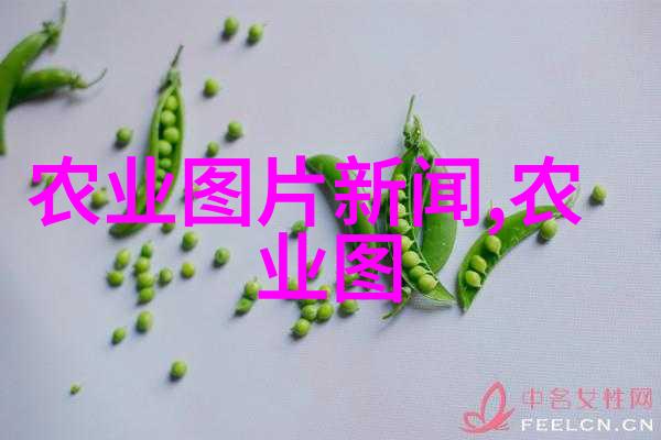 沁心以茗深入茶文化的100字感悟