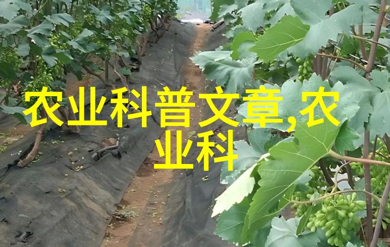 土壤的记忆揭秘农业之初的神秘种子