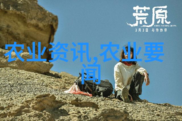 新月新政揭秘10月1日公积金革新之谜