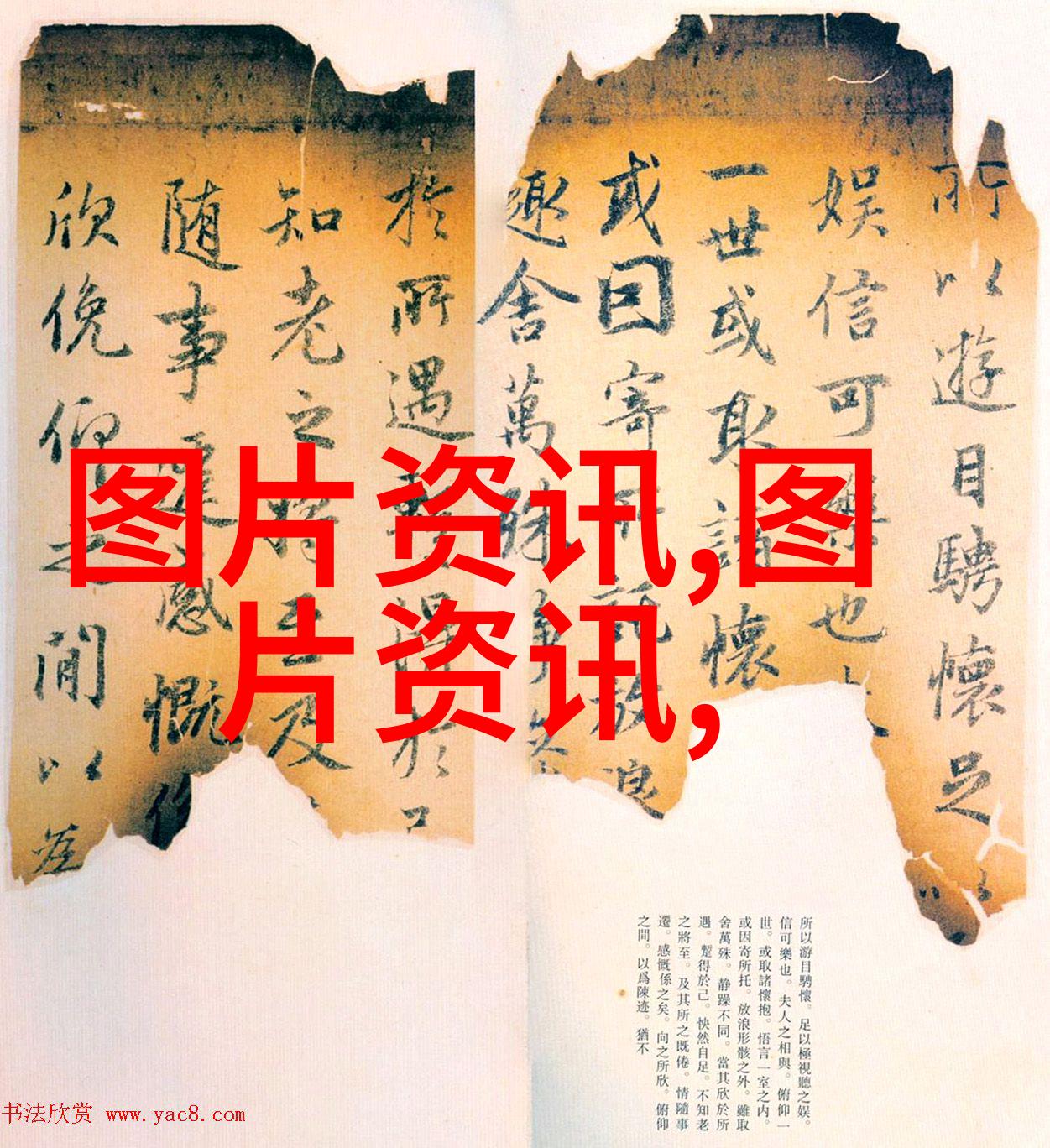 在烹制茗茶时我们应该遵循怎样的步骤来营造最佳口感