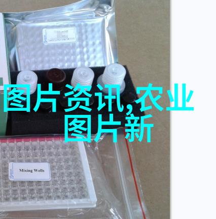 阳光下绽放怎样在阴凉处也能种出美丽的花朵和树木