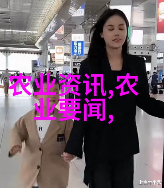 蜂箱的双重效能探索养两群蜂的可能
