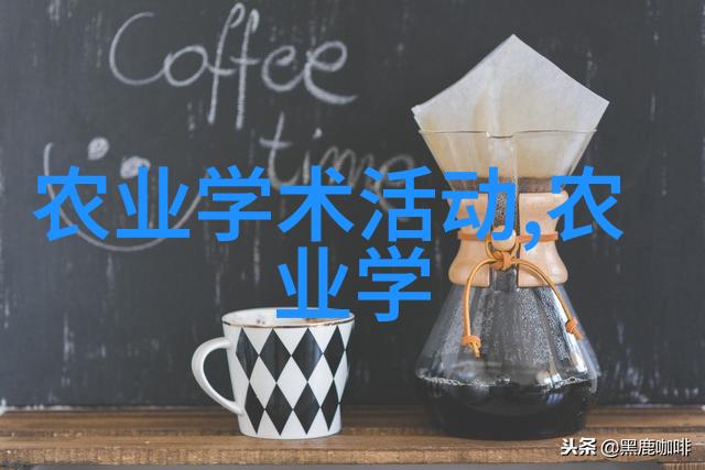 蔬菜价格明细表-绿色食物市场动态与消费指南
