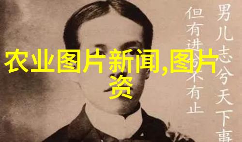 农业机械化促进法我是怎么看的让农机跑得快我们也能赚得多深度解读新政策