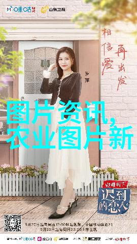 室内环境适宜养哪些花卉
