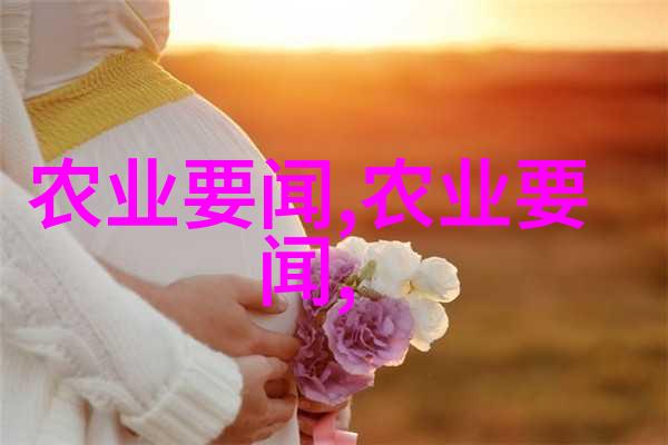 多肉植物需要多少光照才能正常生长