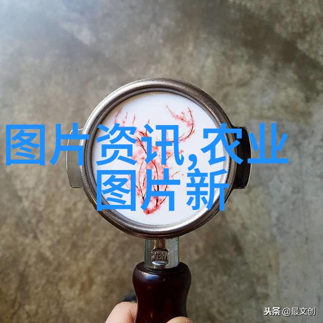 苗木树苗从零到英雄的绿色小子们