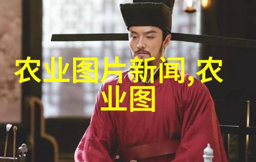 营养保留味道提升专业厨师推荐使用的手工榨油技巧