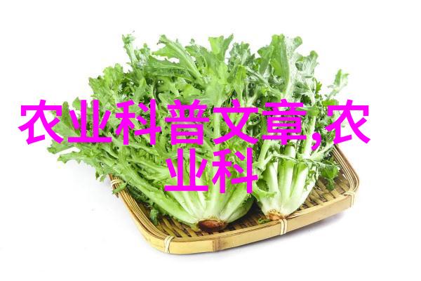 云南花海十大花卉基地的盛宴与自然之美