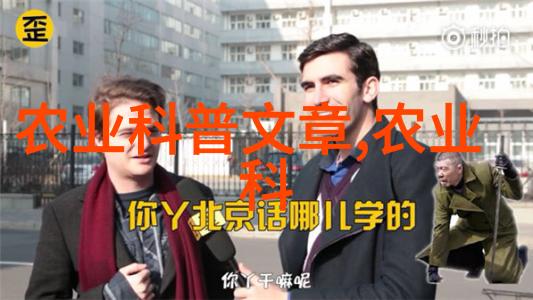 春日绽放花园中的色彩盛宴
