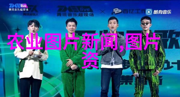 法桐价格走势10公分标准下的最新市场动态