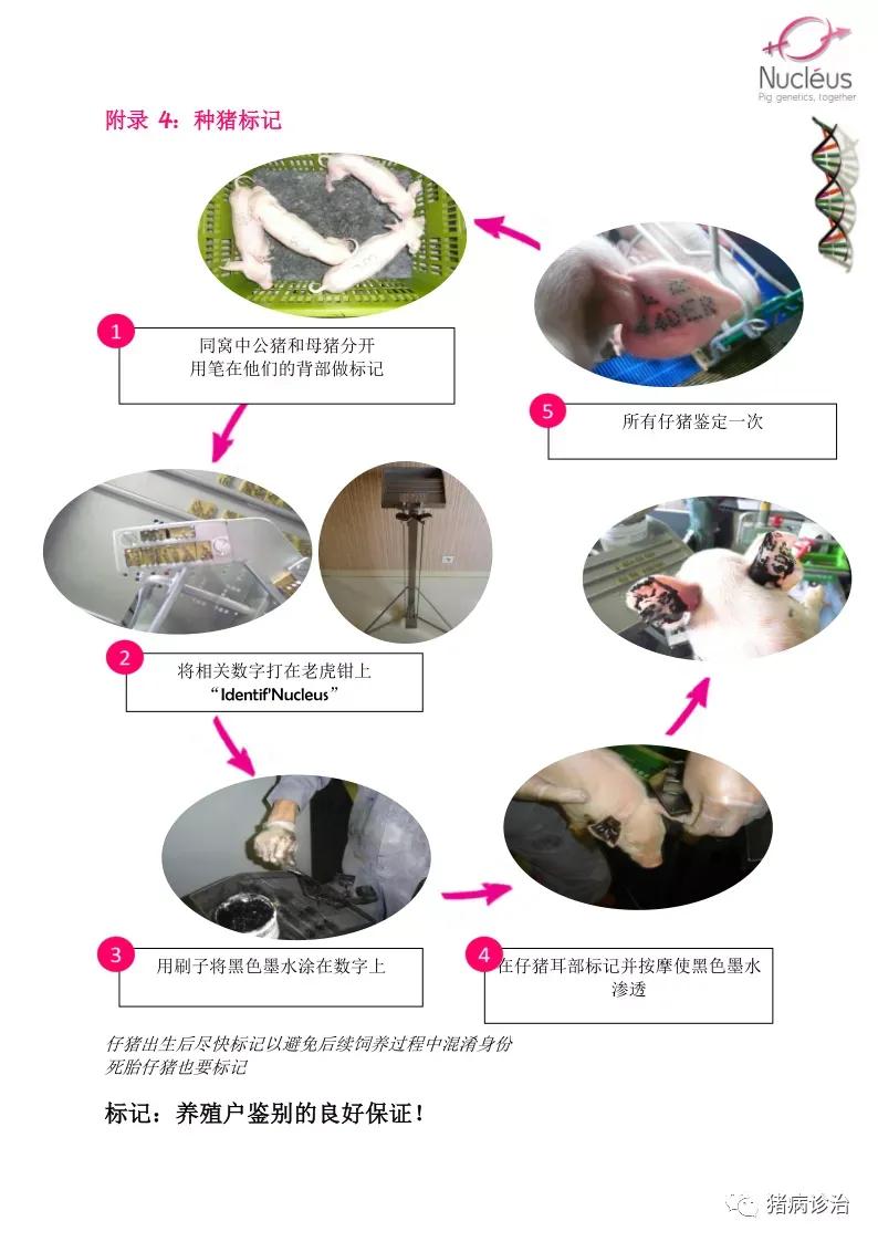 一年可收二次中药材探索中医药产业的再生资源