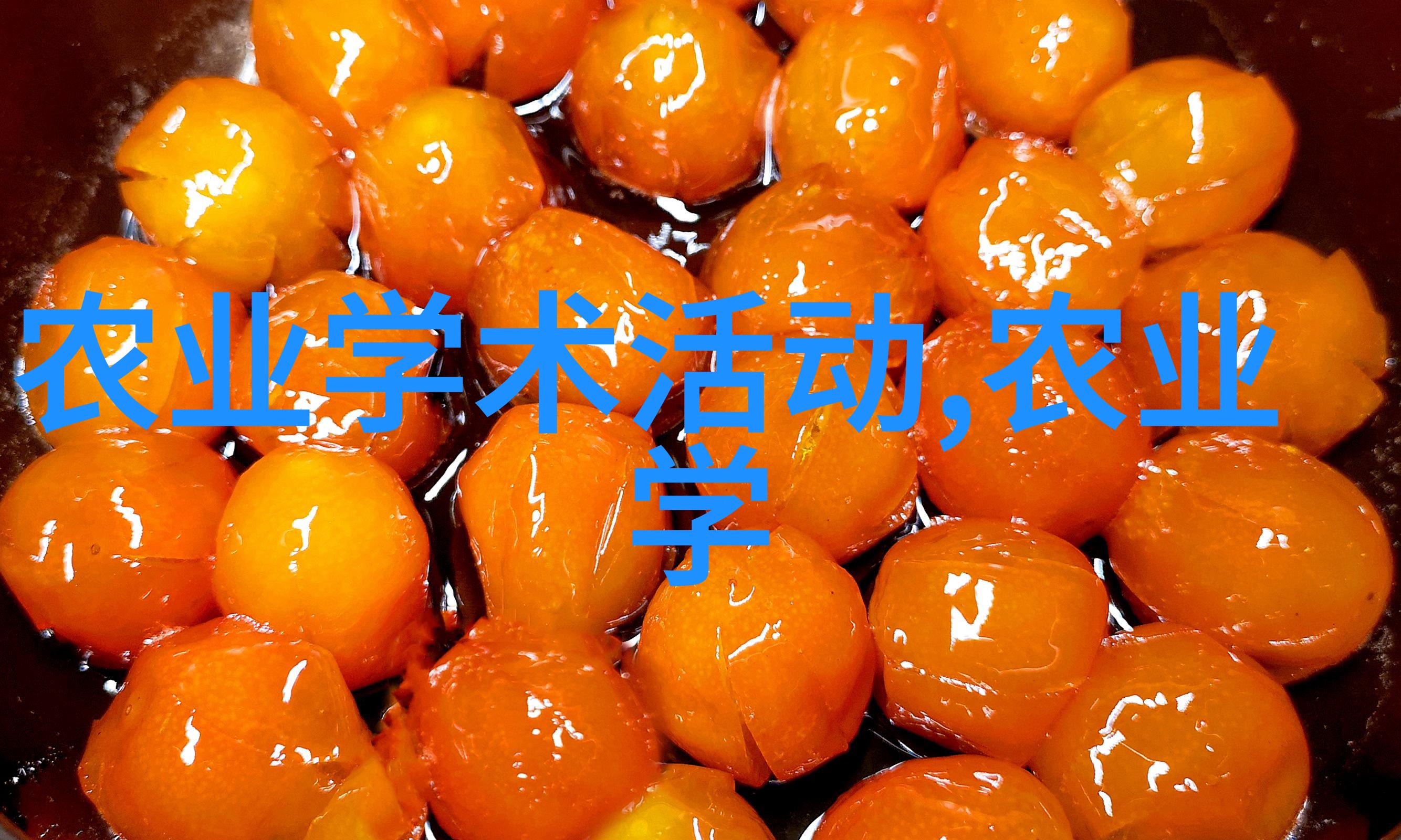 金丝楠苗木价格高质量金丝楠苗木的市场价钱