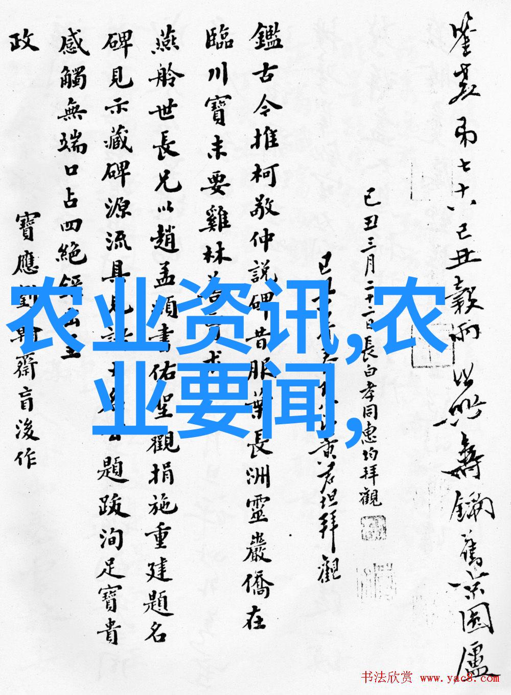 蜜蜂品种大集合甜蜜的多样性盛宴