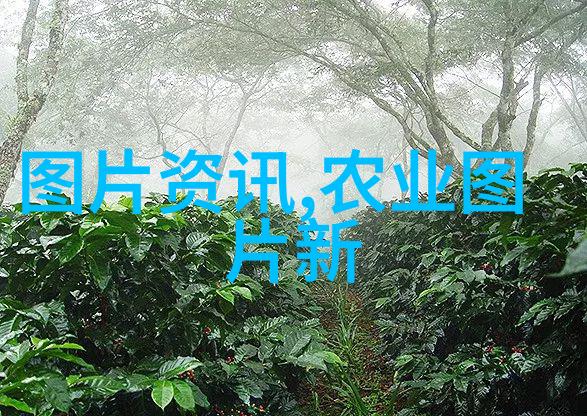 10亩连栋大棚造价详解成本分析与投资收益预测