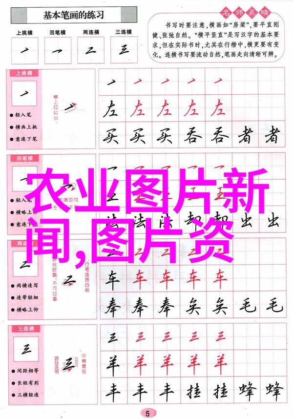 农业科普知识揭秘农作物的生长周期与栽培技巧