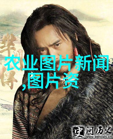 路边绿化苗木品种大全我是如何揭秘那些让城市更美的树儿们