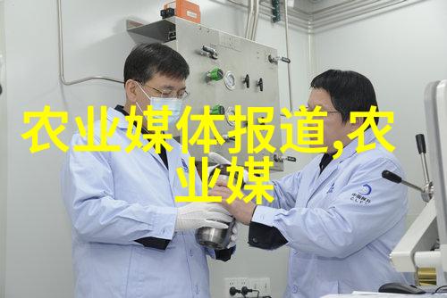 阳台上的秘密果园哪些水果能助你摘到甜蜜的梦想