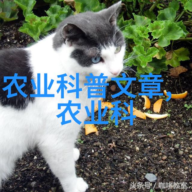 从蒸汽机到现代汽车活塞引领动力革命