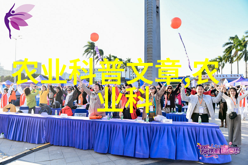 蜂箱里的生存之战300只蜜蜂如何供养一位蜂王