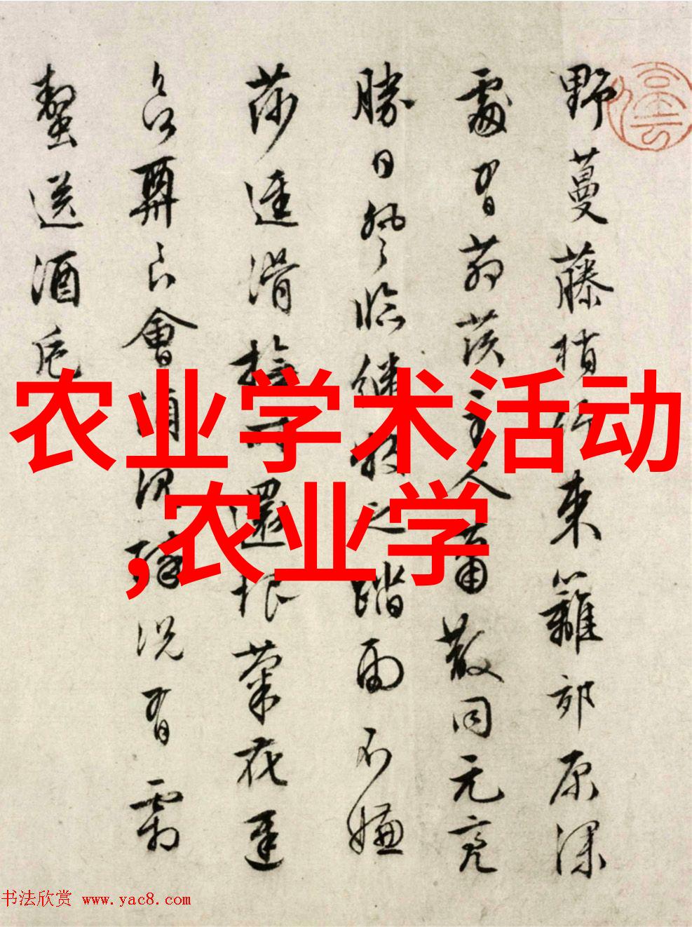 数不尽的利润揭秘高产量养殖法