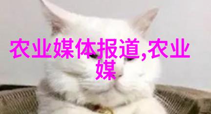 2023年种什么菜赚钱我这儿尝试了几种能卖出手的蔬菜