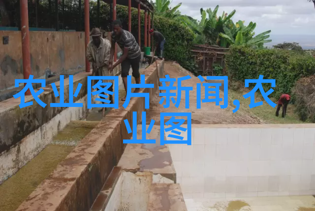 传统与现代碰撞为什么这些古老植物成为了超级稀缺资源