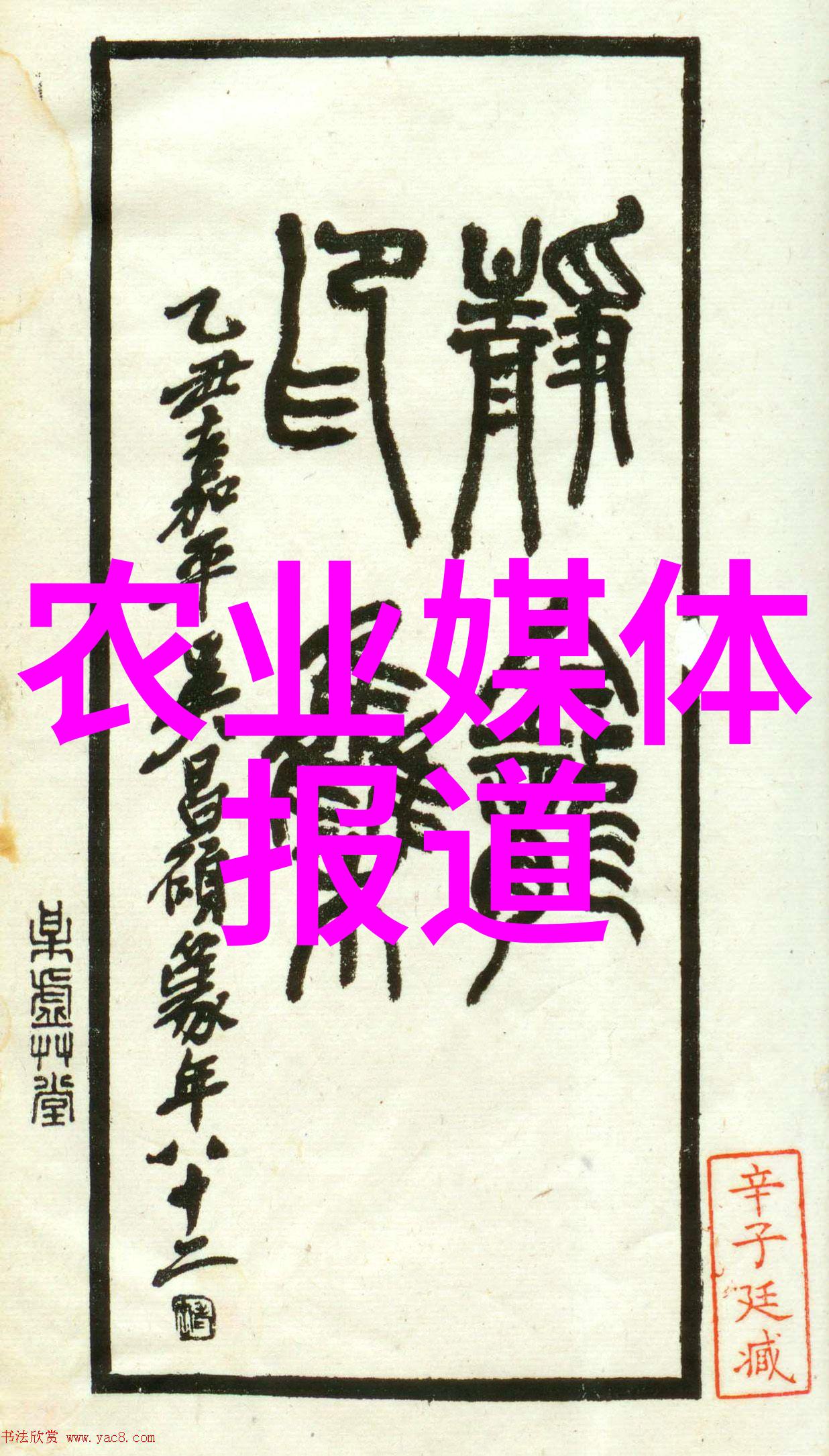 中医养生-精准投资当前最赚钱的中药材种植指南