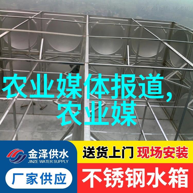 春日佳节送上温暖10公分五角枫礼物推荐
