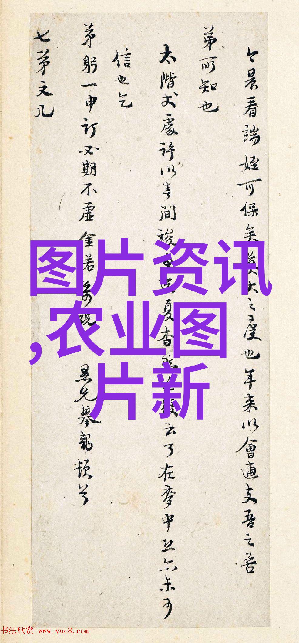 茶树的知识翠叶金花谱