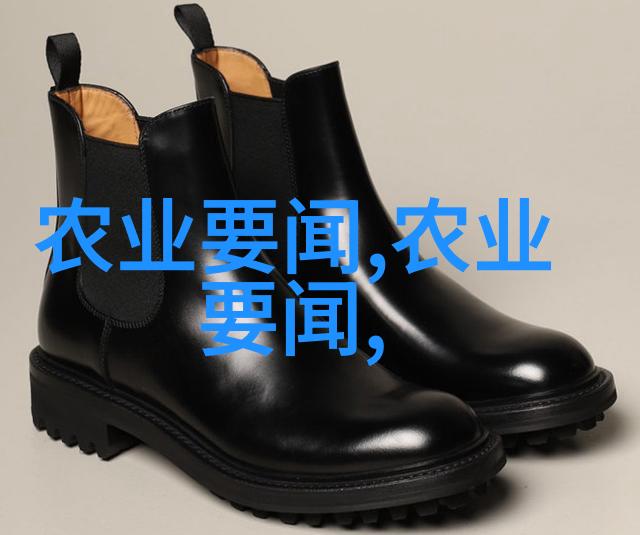 室内种植蔬菜品种我是如何在家里种出一整盆香喷喷的菠菜的