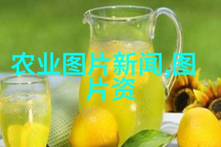 时节选择与施肥策略确保快结果