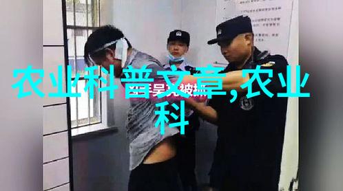 属相之恋揭秘每个幸运花的秘密