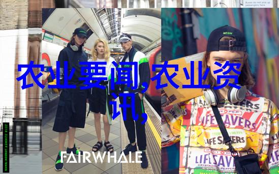 液压破碎锤捣碎石头的那台机器