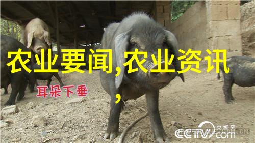 2024年中药材新势力这些种类预计将迎来市场爆发式增长