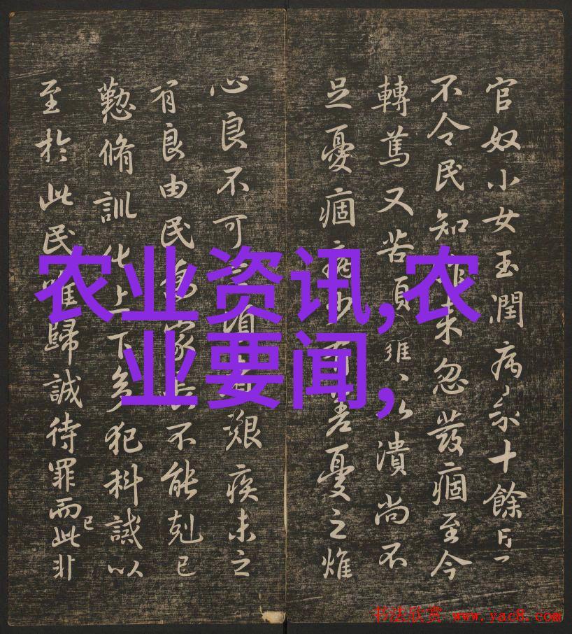 包装机械设备机器之舞物流的诗