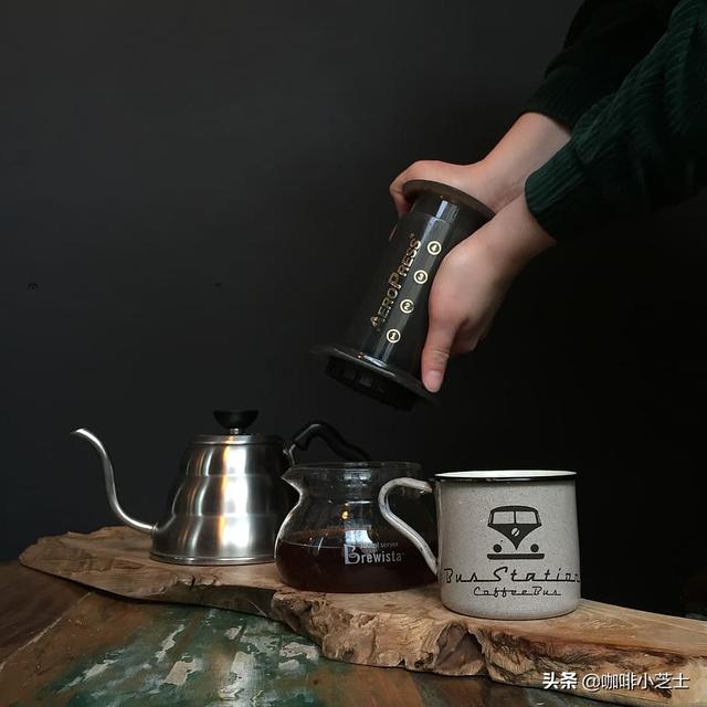 绿意盎然10种家庭必备的活力植物