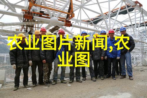人工智能在大型养鸡场中的应用及其效益探究
