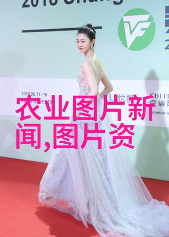 茶文化-品味古韵深入了解中国茶的历史与风味