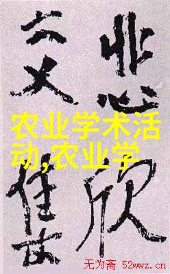 谷穗金黄乡村的丰收赞歌