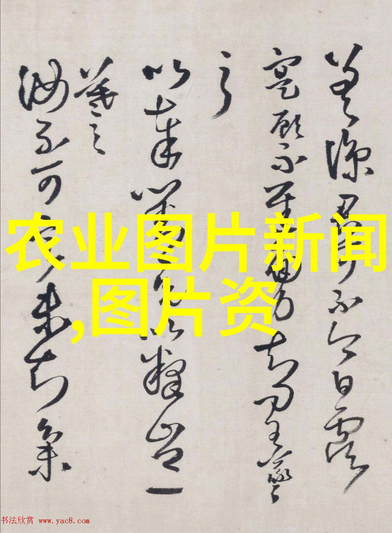 大数据应用在现代生猪养殖中的实践案例